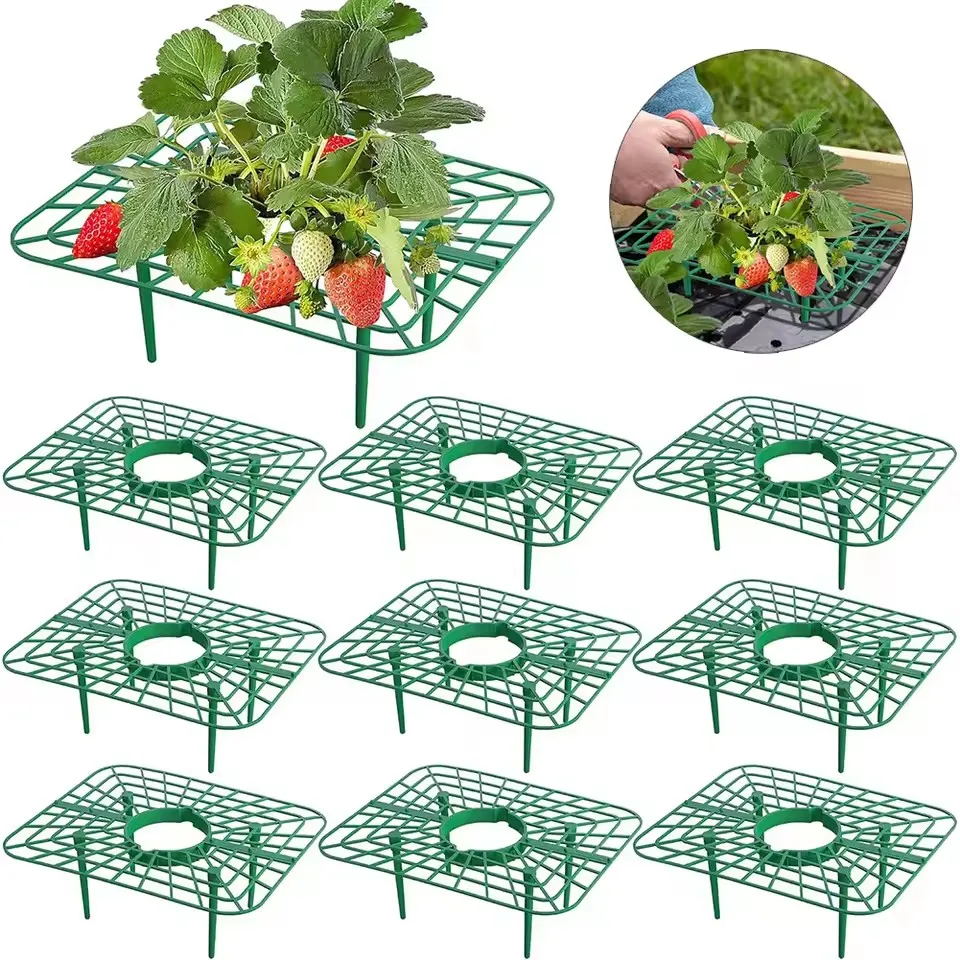 10 Packs Green Square Strawberry Support Stand Holder Growing Frame Keep Berries Clean Planting Racks Easy Assembly Plant Access