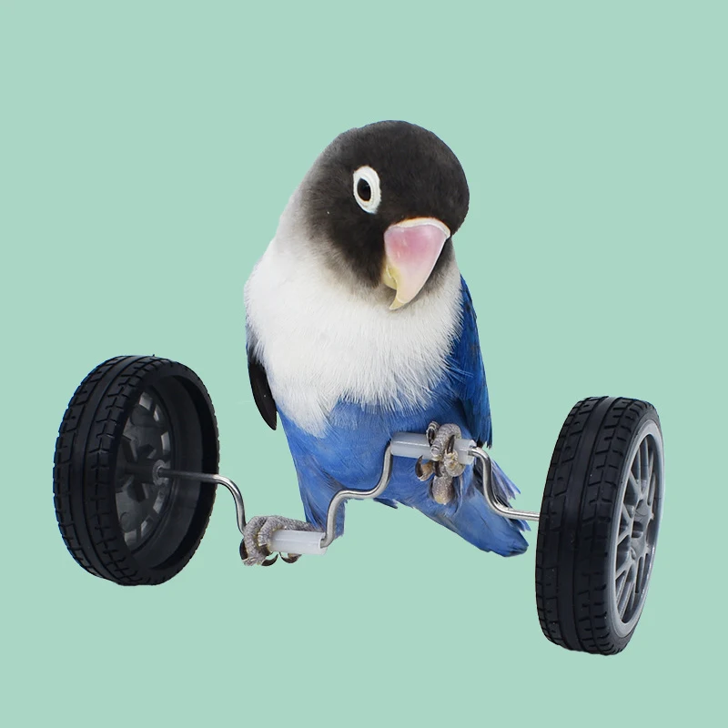 Papagaio equilíbrio pássaros inteligência treinamento brinquedo interativo mini rodas de bicicleta rolo para pequenos pássaros médios suprimentos para animais de estimação brinquedos