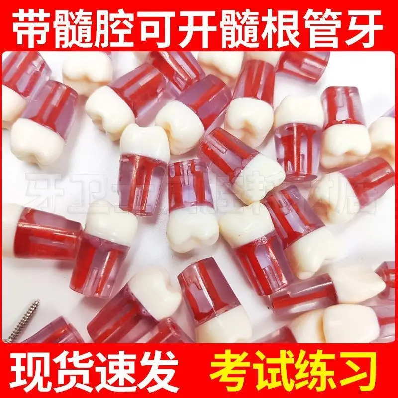 

50 шт. зубной корневой канал, зуб с корневым каналом, смола с зубными гранулами, полостью отверстия целлюлозы, экзаменацией целлюлозы, специальные зубы