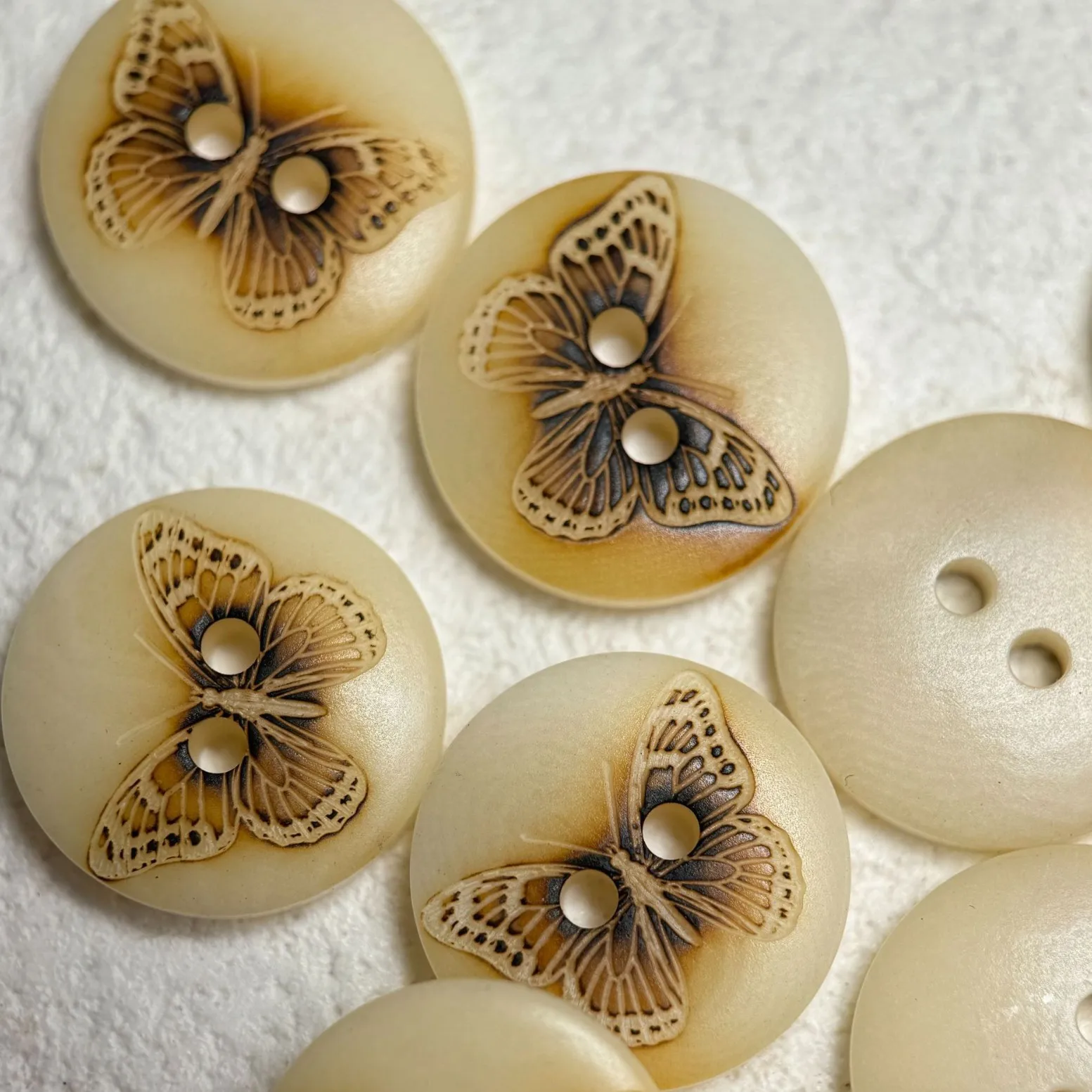 15Pcs/lot 18mm Natural Fruit Button Beige Two Eyes Butterfly Button Sweater Coat Shirt Coat Accessories