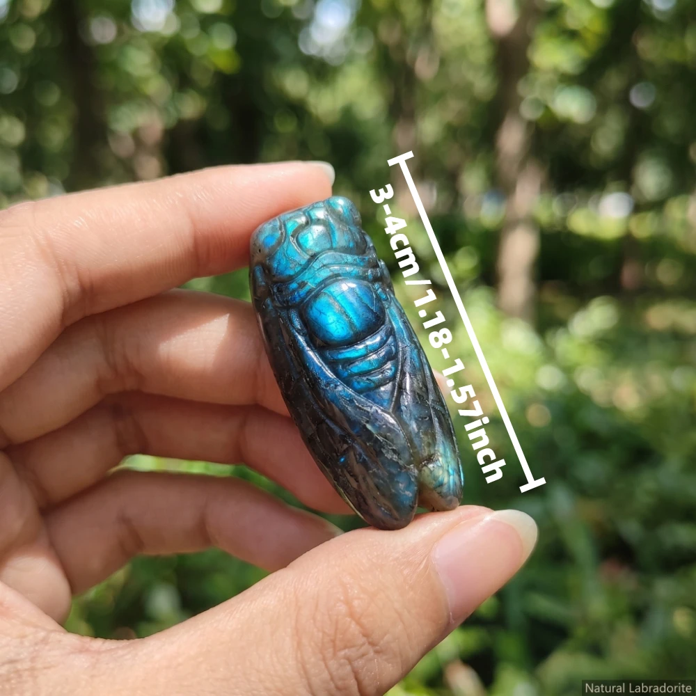 Natural Labradorite Cicada Sculpture Animal Gemstone Decoration Special Crystal Ornament for Home and Tabletop Accessory