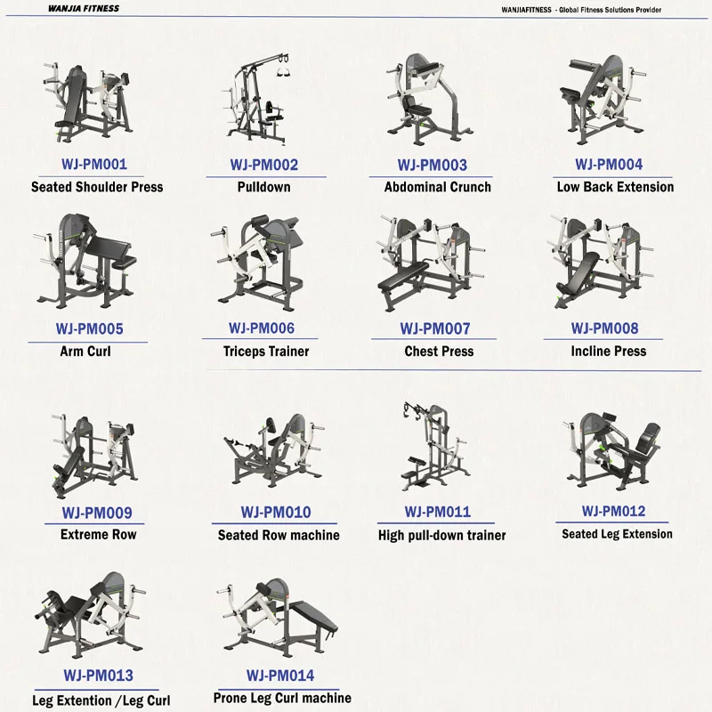 Gym Equipment Buyers Take Note Pin-Loaded Machine Strength Training Prone Leg Curl Machine for Commercial Fitness Facilities