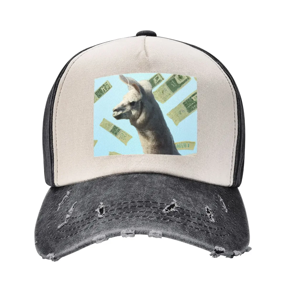 Raining Money on Llama Baseball Cap hard hat Golf Military Cap Man Golf Hat Men's Caps Women's