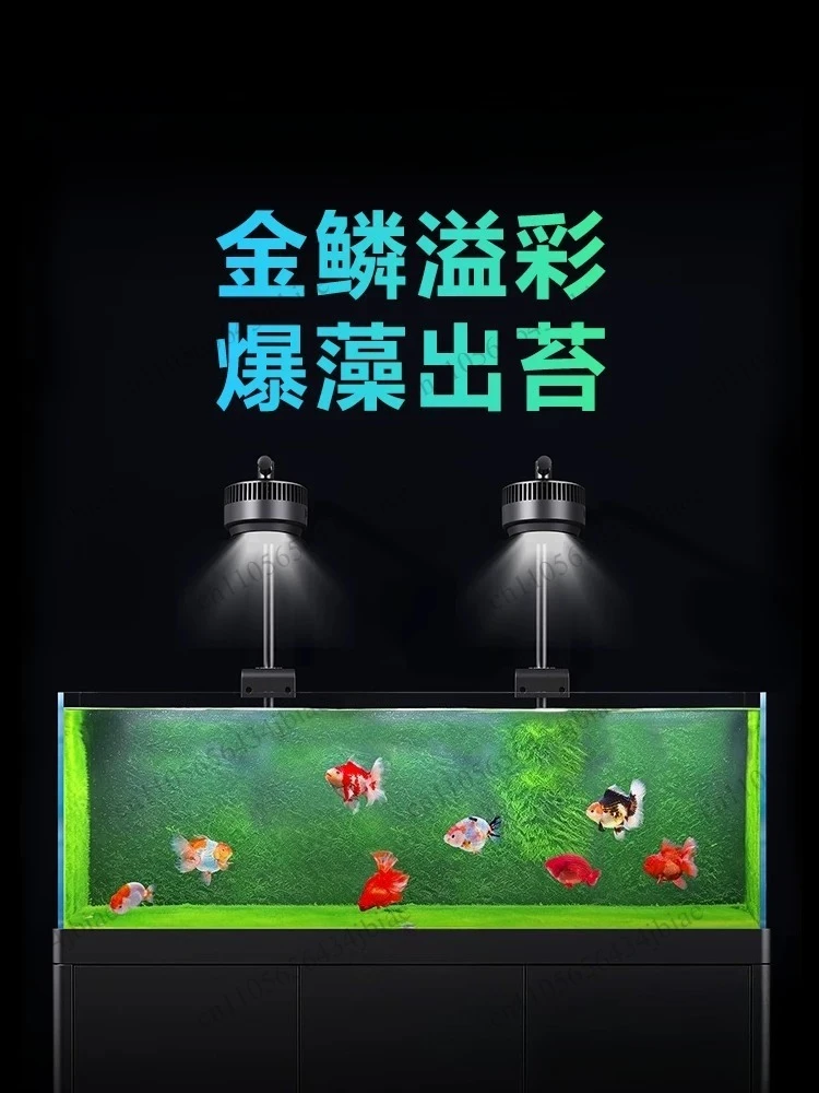 2026 new fish tank light full aquatic plant goldfish fish special light