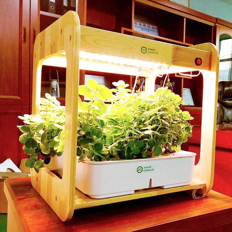 

Shenzhen EXW Hydroponic leafy vegetables lettuce growing container for home