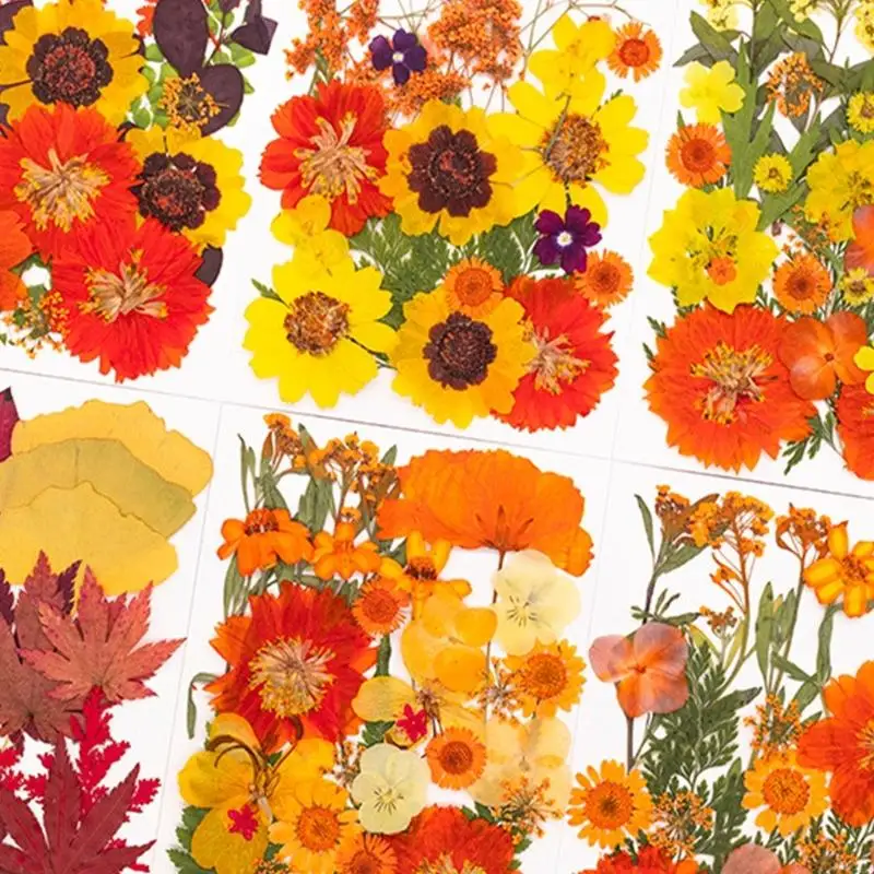 Natural Pressed Dried Flower For Resin Natural Dry Flower Leaves for Art Craft 