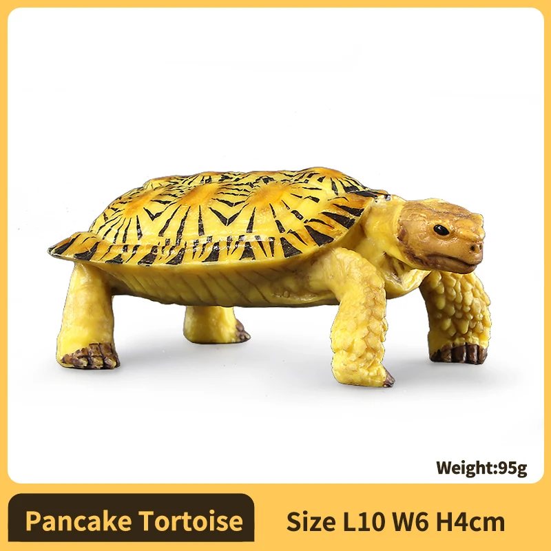 PVC-schildpadfiguren Dierenvorm Gedetailleerde sculptuur Ster-schildpadmodelfiguren Actiefiguren Voor educatief doel