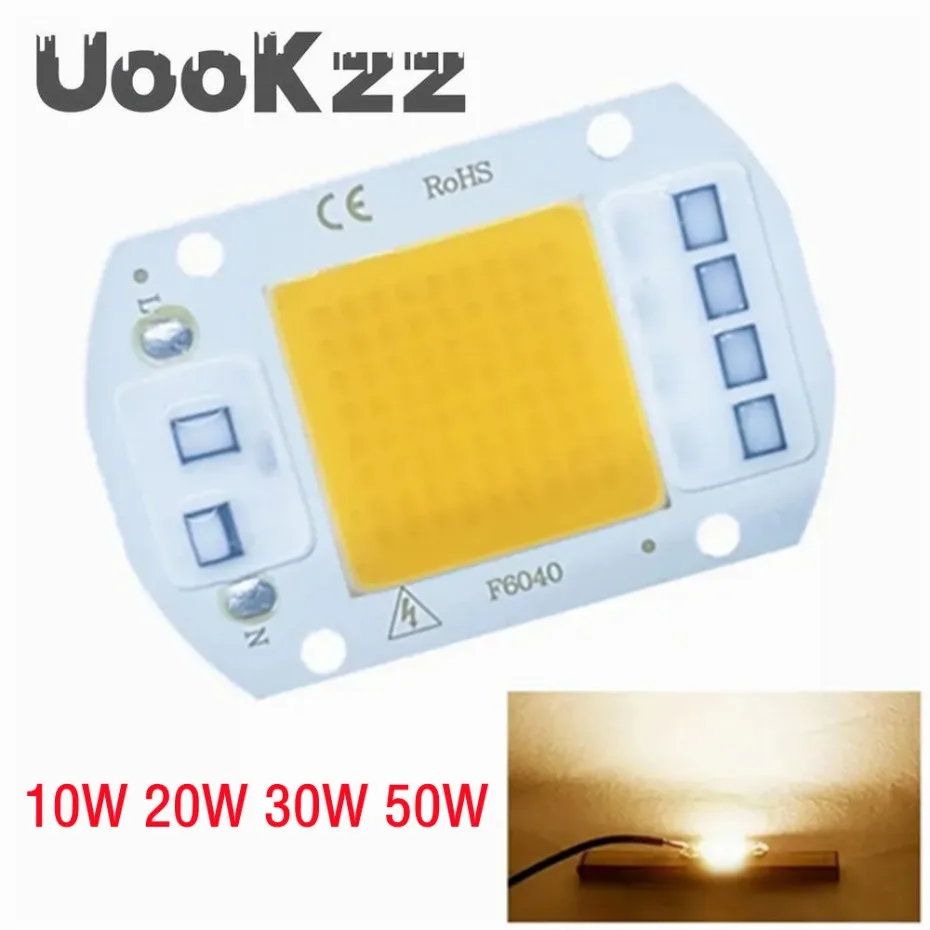 10W 20W 30W 50W LED COB Lamp Bead AC 220V 240V IP65 Smart IC No Need Driver DIY Flood light Led Bulb Spotlight Outdoor Chip Lamp