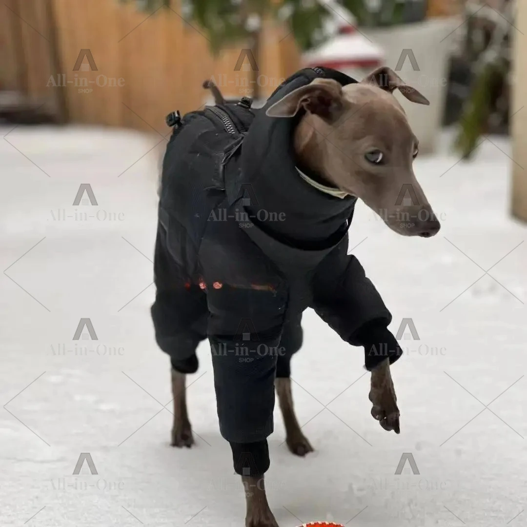Autumn Winter Small & Medium Dog Turtleneck Coat - Windproof Warm Eco-Cotton Padded Clothes