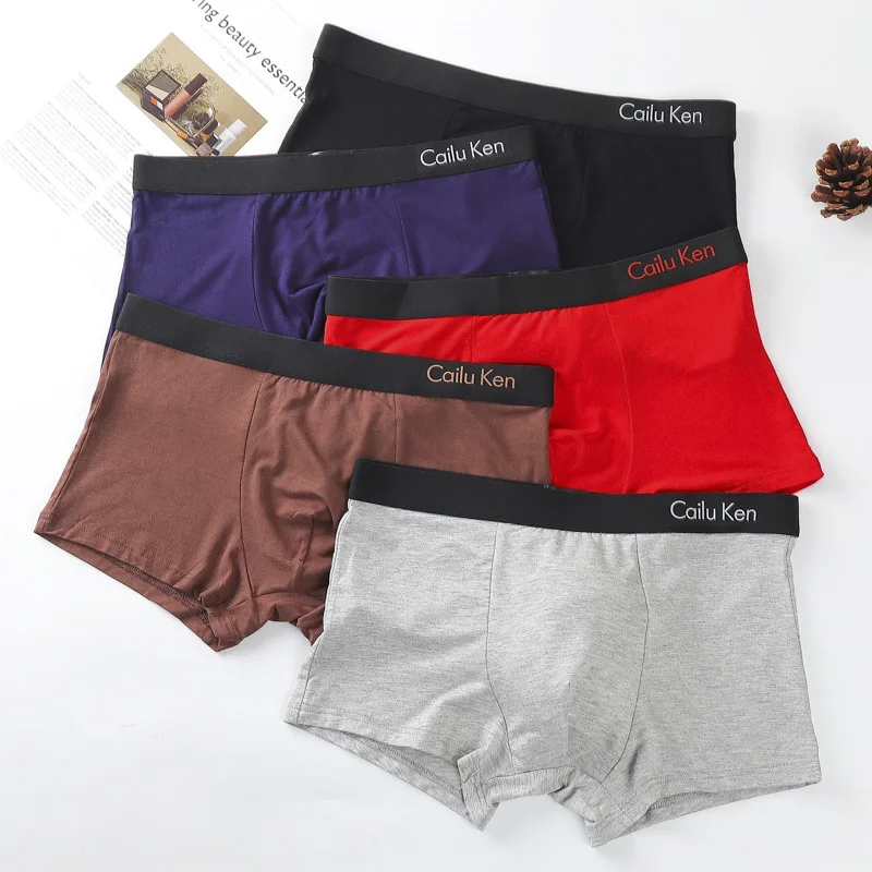 2024 New 5pcs Modal Cotton Men Underwear Antibacterial Breathable Comfortable Male Flat Corner Underwears