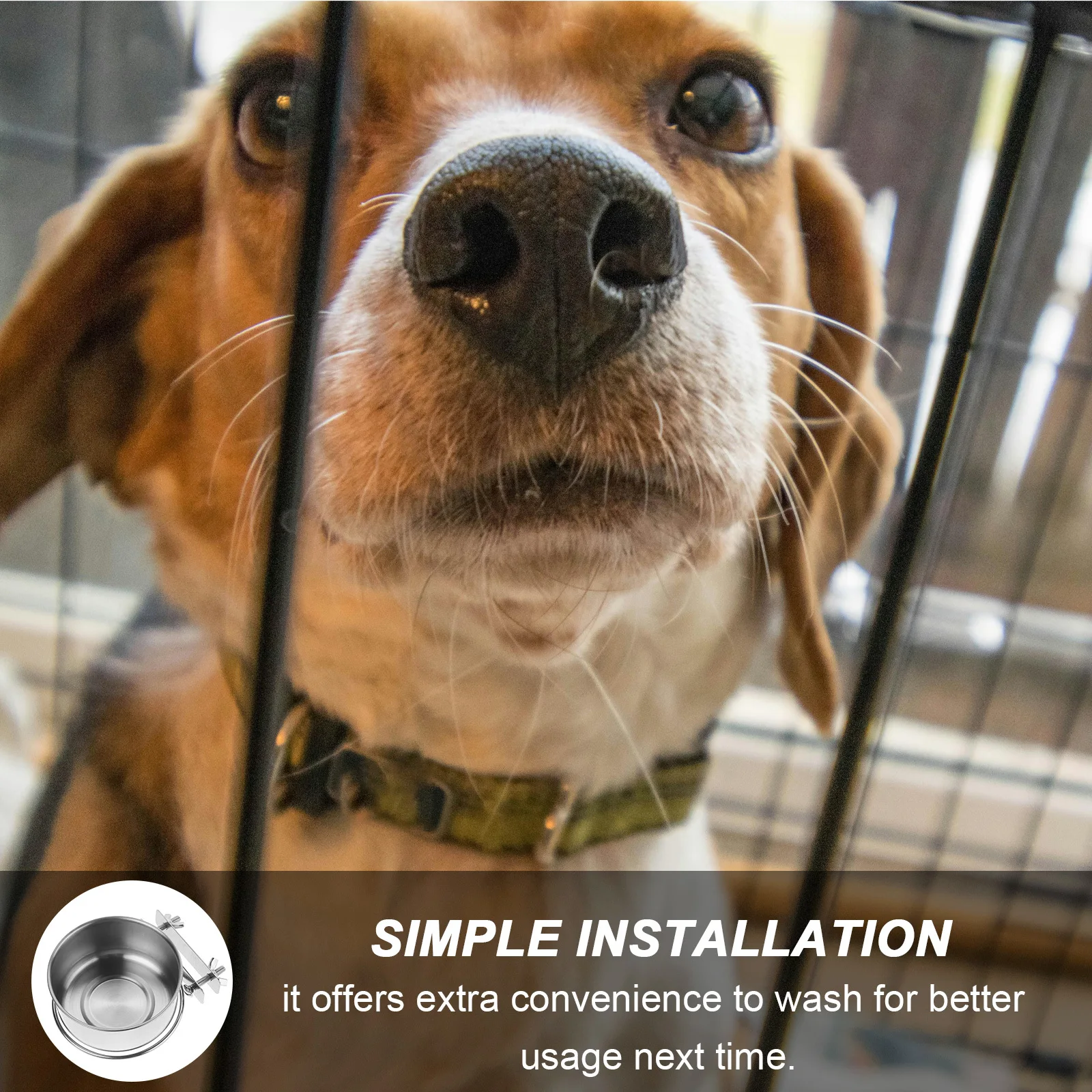 

Stainless Steel Hanging Dog Bowl Elevated Pet Feeder Clamp Cage Crate Food Water Bowls for Cats Birds Ferrets Rabbits Small