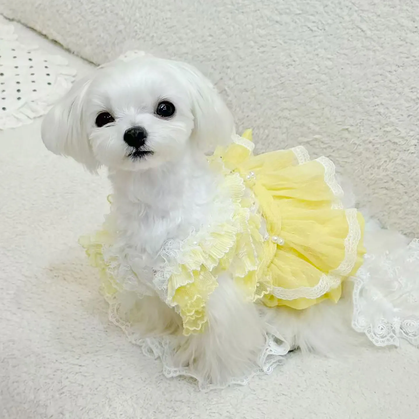 Luxury Yellow Lace Princess Dress for Small to Medium Dogs Handmade Fashion Pet Skirt Perfect for Puppy Parties And Photography
