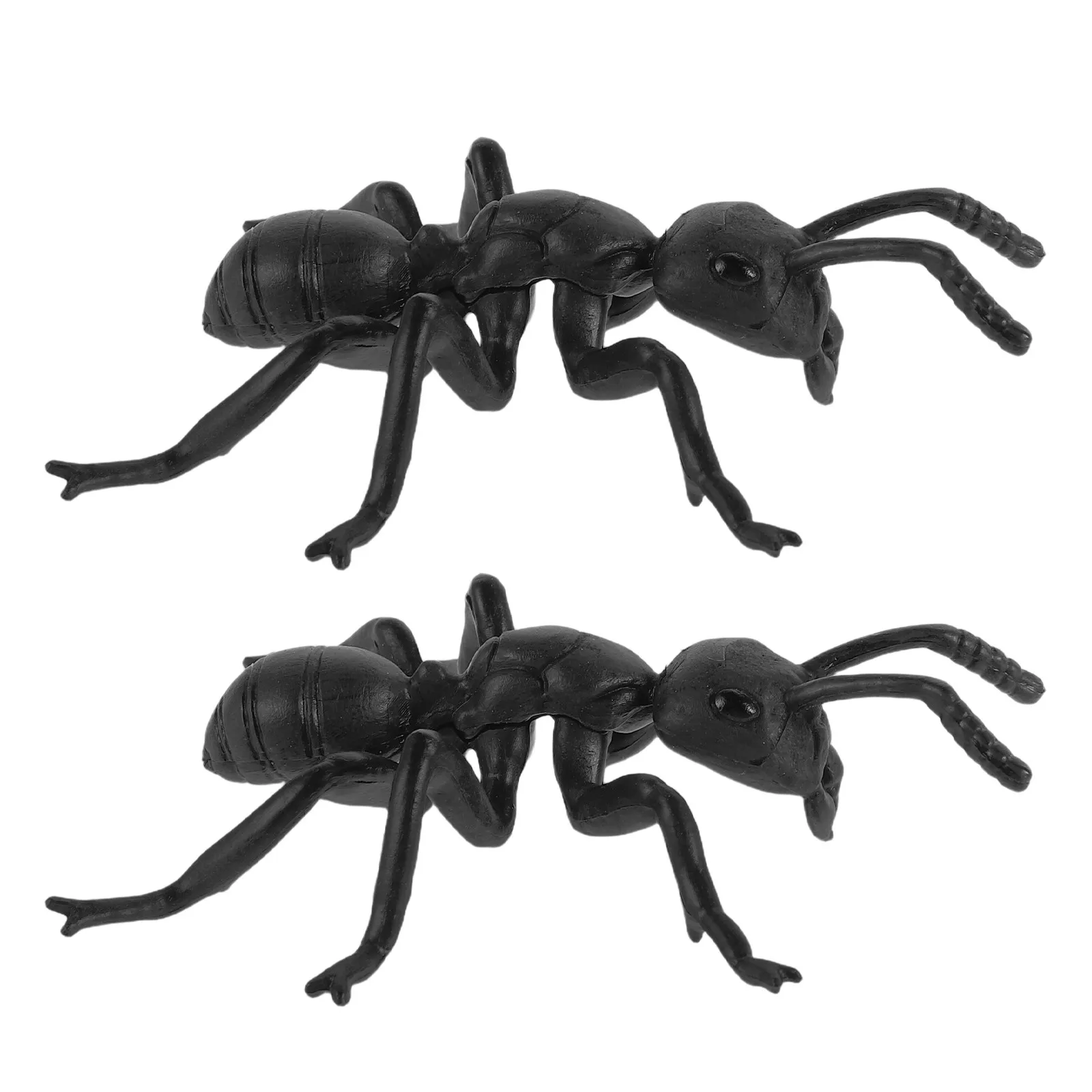 

Large Insect Ant Sculpture Realistic Black Ant Outdoor Garden Decoration Prank Educational Nature Figures Halloween Party