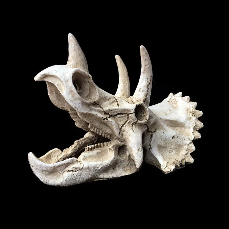 

Resin Triceratops Skull Fossil Hideout Cave Platform Reptile Terrarium Tank Aquarium Lizard Gecko Spider Scorpion Decor Setup