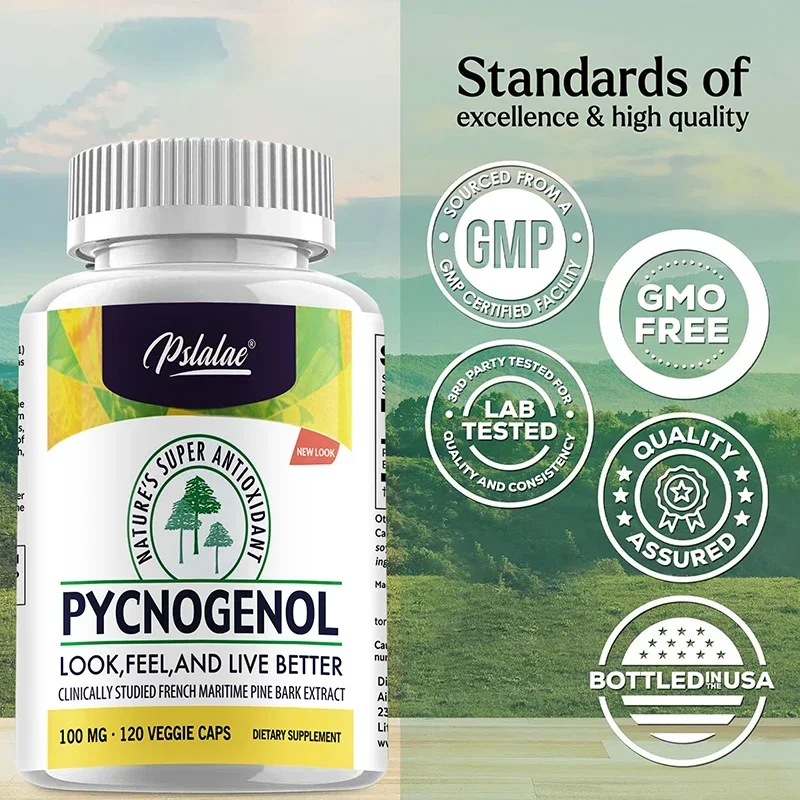 مكمل Pycnogenol - يعزز الدورة الدموية، ودعم صحة القلب والأوعية الدموية، ومضاد للأكسدة
