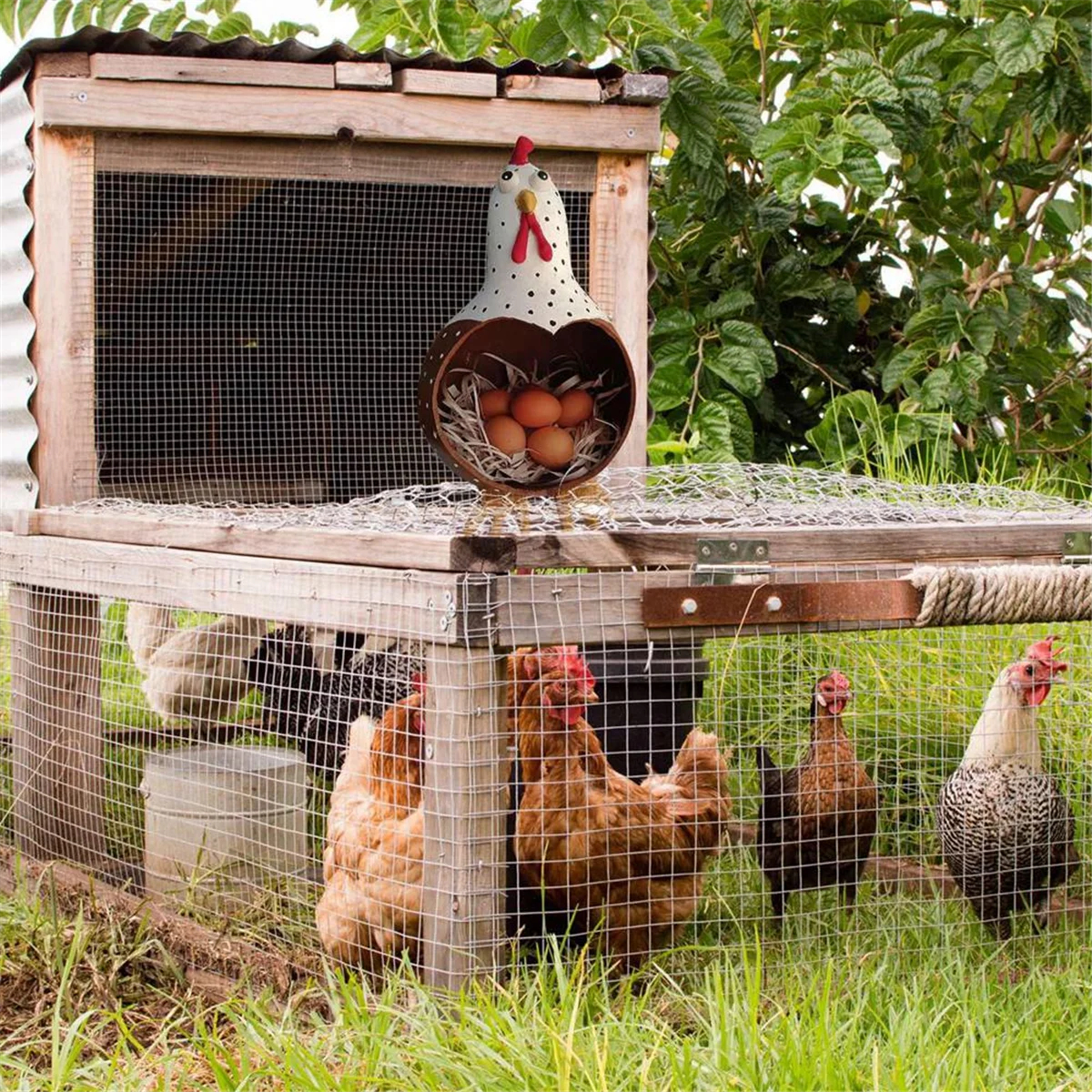 

Elegant Farmhouse Egg Storage Jar Egg Storage Convenient Egg Storage Handmade Excellent Collection Egg StorageHUG