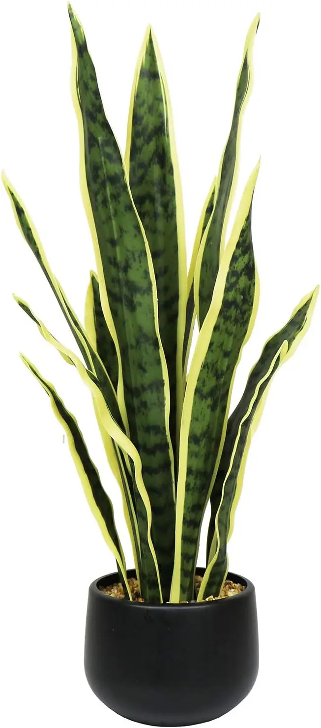 Ollain Artificial Snake Plant With Potted 23.6