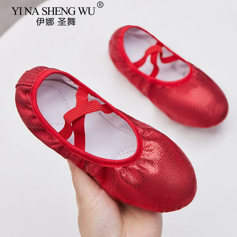 Blue Pink Ballet Shoes For Girls Soft Sole Flat Yoga Gym Slippers Children Women Jazz Ballet Dancing Practice Special Sneakers