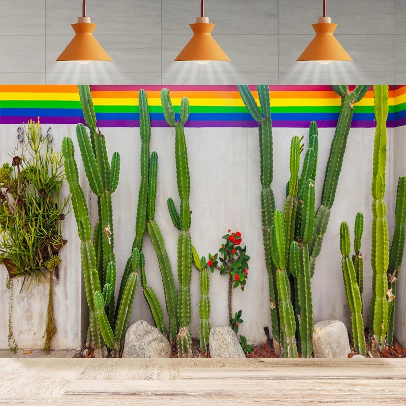 Mexico Cactus Photography Backdrop Street Life Desert Plant Saguaro Rainbow Wall Background Party Backdrop Wall Banner Decor