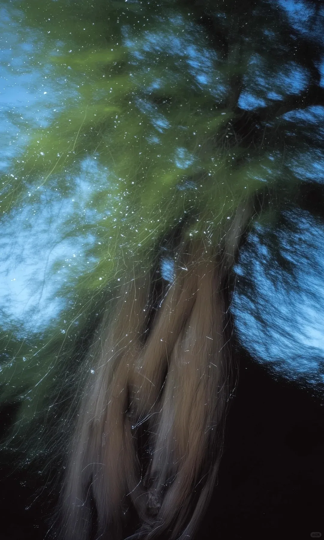 

Верхняя опора двигателя (торсионная стойка) RHD для Honda Accord Sport 1.5T/2.0T 2018-2021 гг.