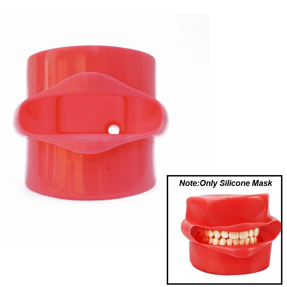 

Dental Phantom Head Teeth Model Silicone Mask Teaching or Training Student Practicing Silicone Cheeks