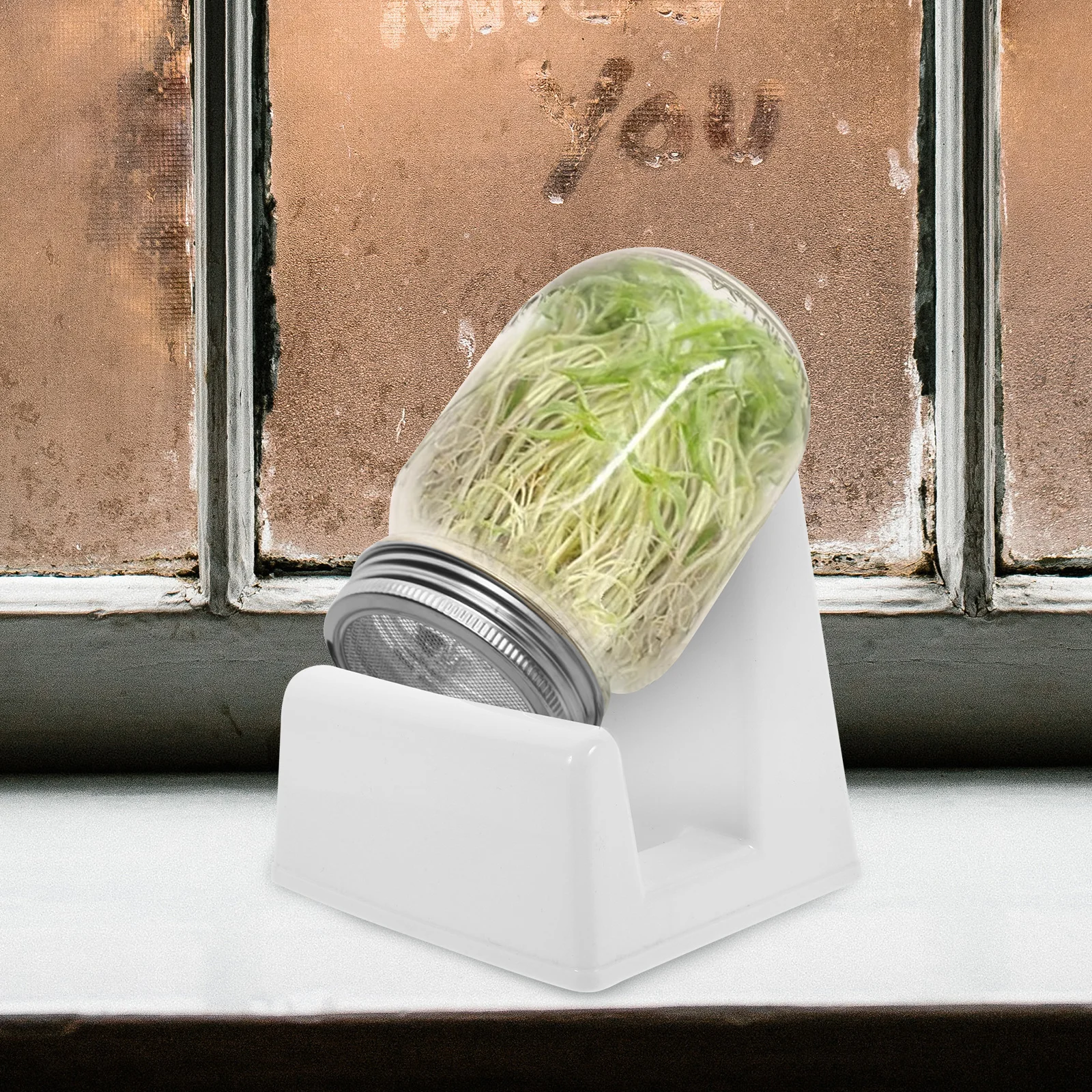 Support de germination pour bocaux Mason, 2 pièces, support de stockage de pots en plastique, support de germination de bureau, support de pots de conserve, support de stockage pour plantes