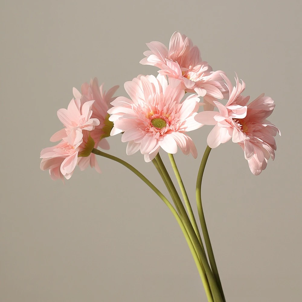 

5-piece Hand-feel Moisturizing Simulated African Daisy, Daisy, and Posy Flower Decoration for Home Living Room