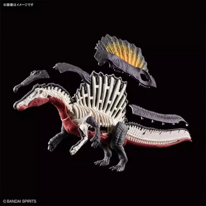 Original Bandai Kunststoff Dinosaurier Spinosaurus Fossil mit Skelett Tier Action figur montiert Modell Geschenk Sammlung Ornament