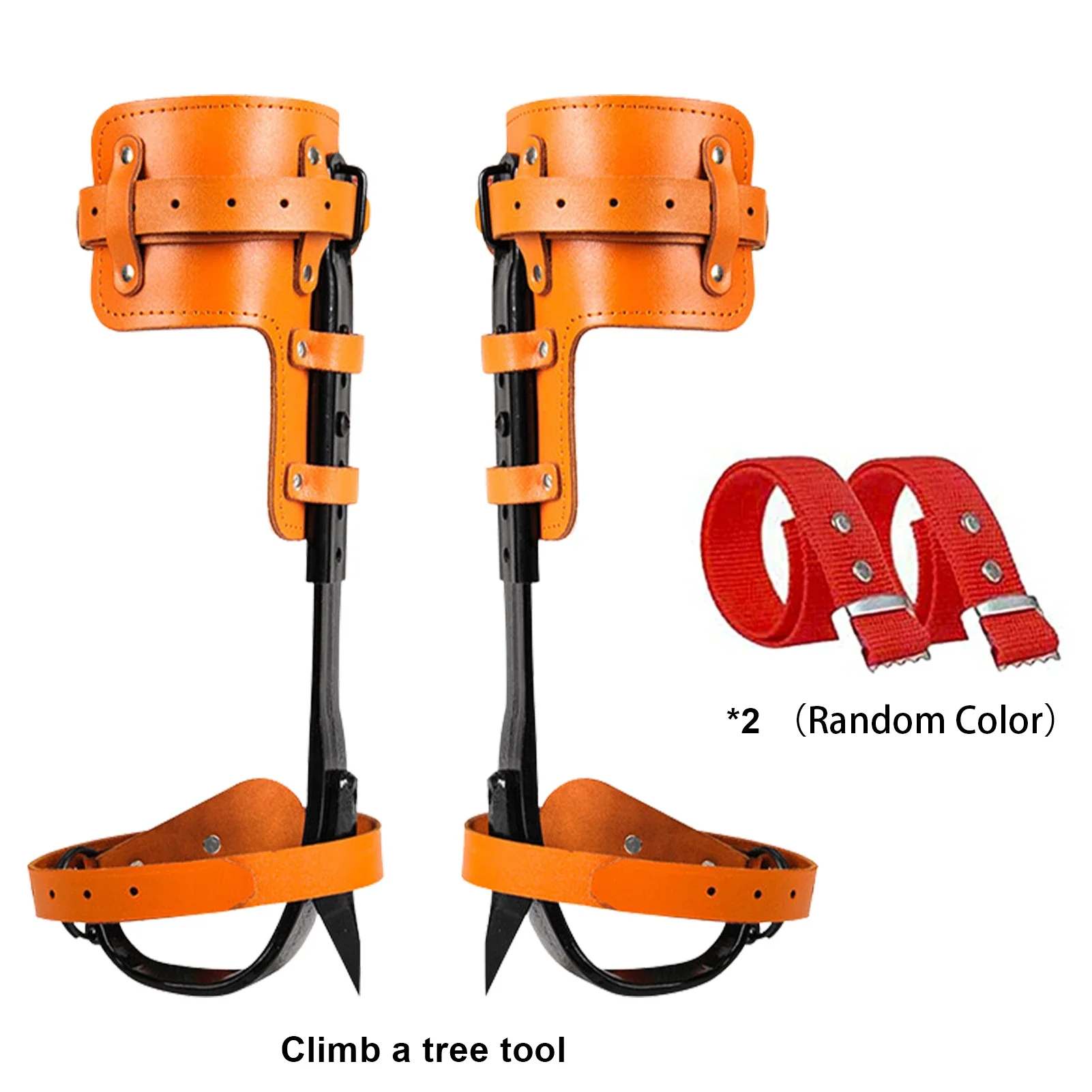 Imagem -04 - Espessamento Ajustável Tree Climbing Spikes Stand-up Tree Climbing Spurs Ferramenta Integrada para Alpinista Logging e Hunting