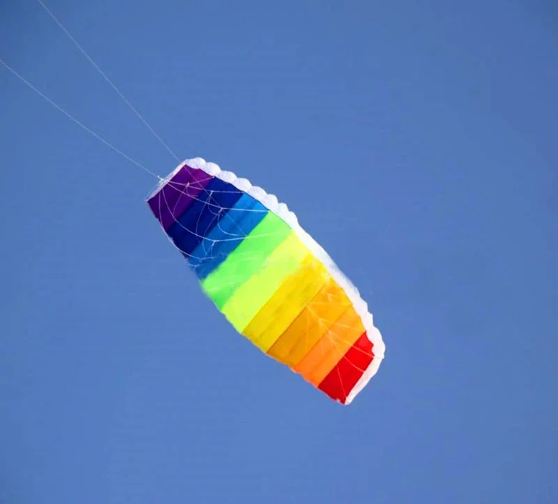 free shipping 270cm dual line large Parafoil kites fly Sports Beach stunt kite control bar outdoor toys kitesurf ikite factory