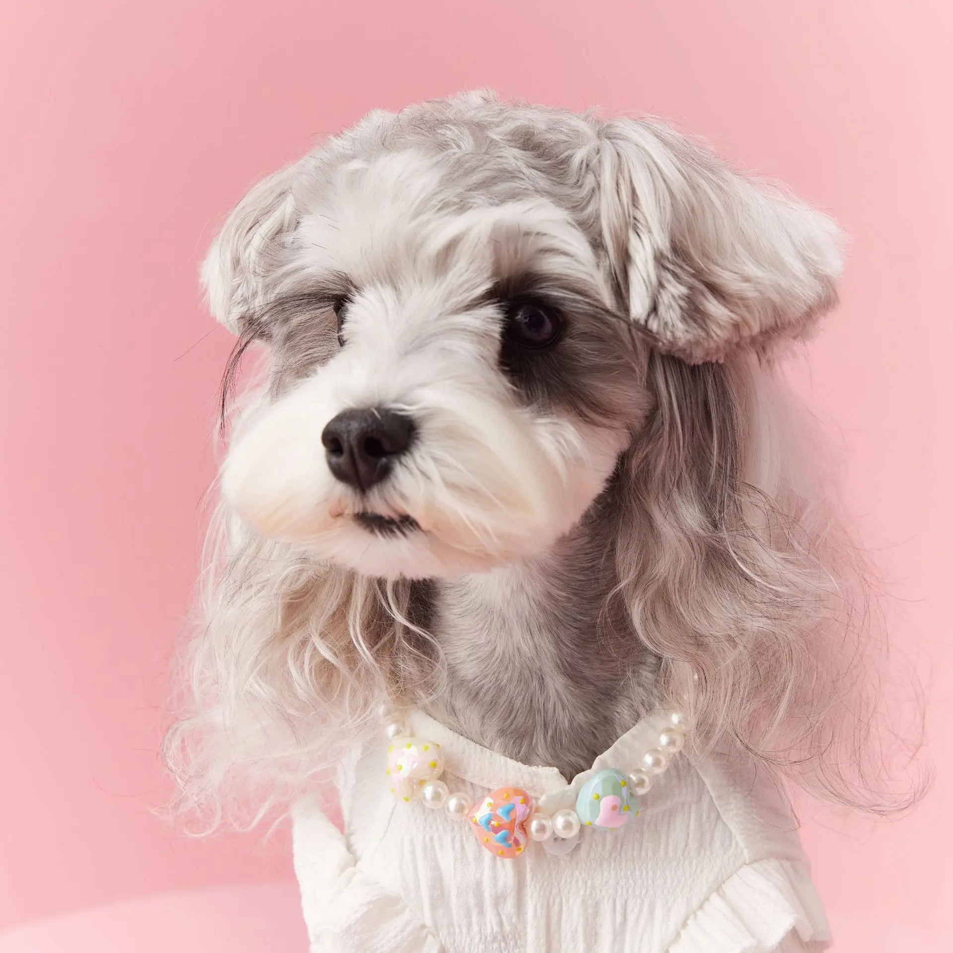 Dog Necklace Jewelry Pearl Pet Marquis Yorkshire Schnauzer Remy Sisch Cat