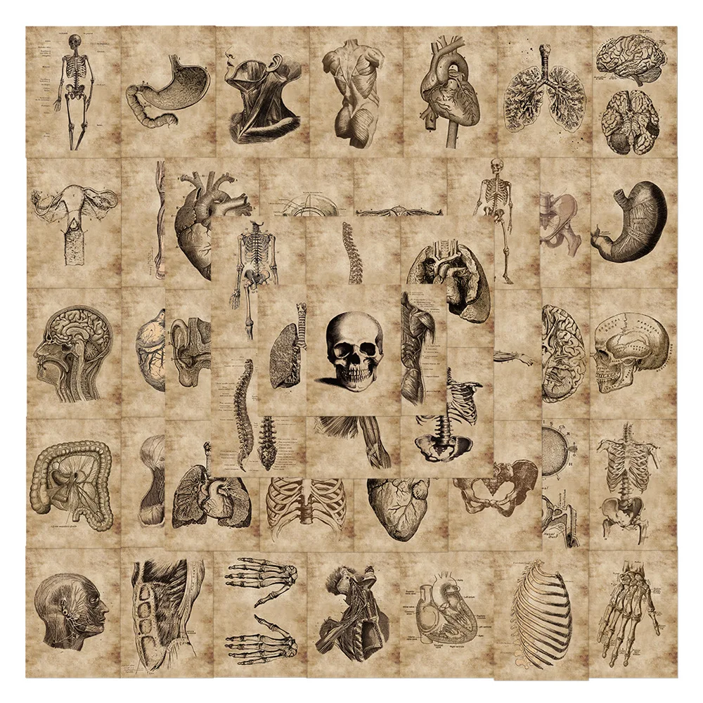 56 sztuk anatomia fizjologia ludzki szkielet Horror naklejki struktura ciała naklejki naklejki na gitarę bagaż Notebook podkładka pod laptopa