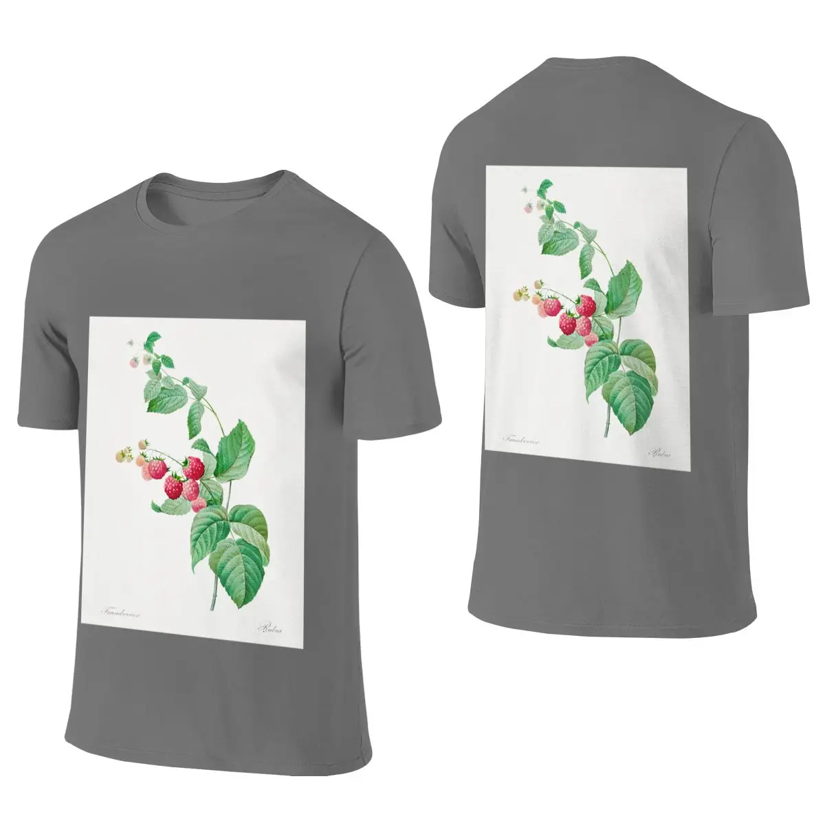 Raspberry Fruit Vintage Botanical Illustration Salt Style Reversible T-shirt Fresh And Versatile Soft Tones Tees