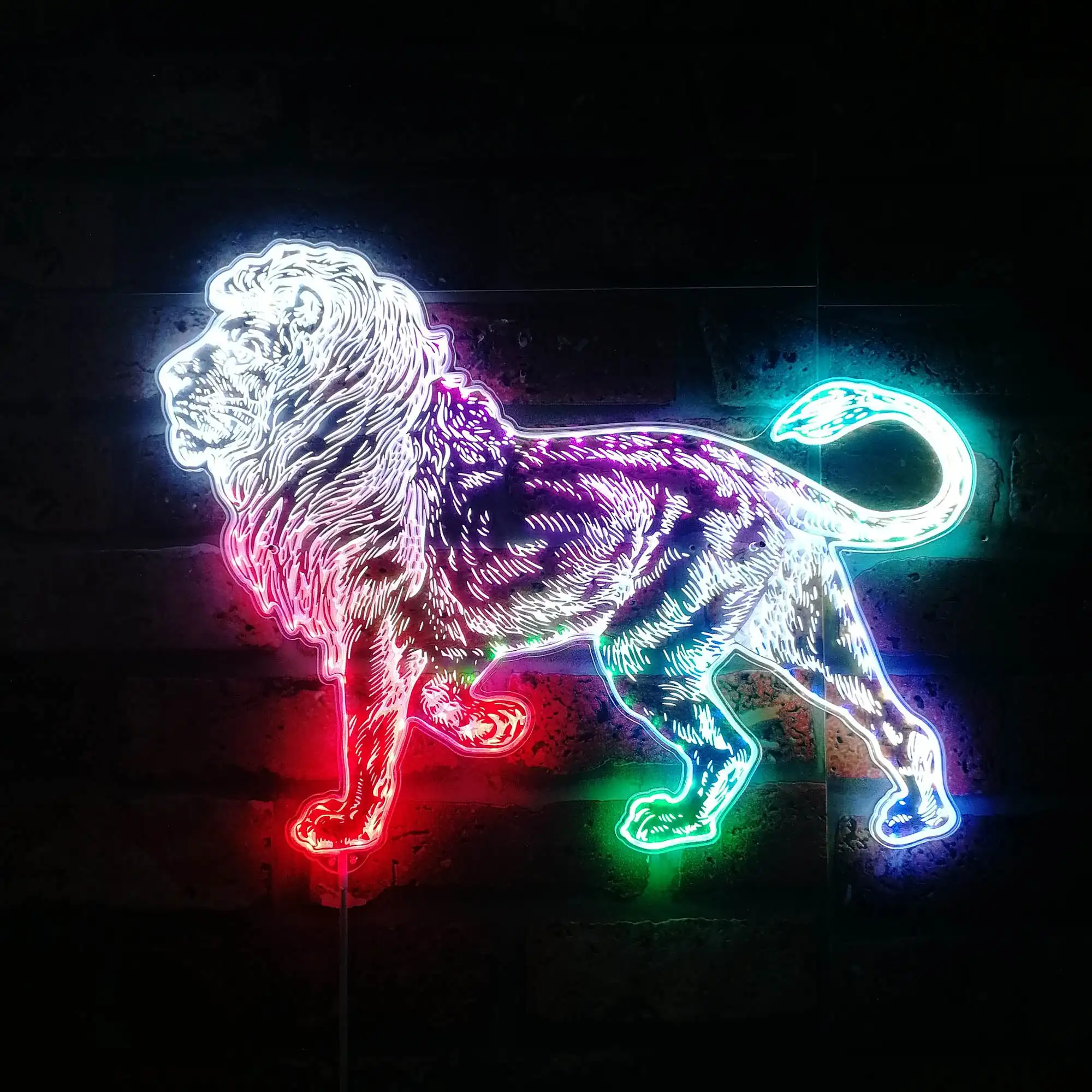 Lion Walk Forward A…