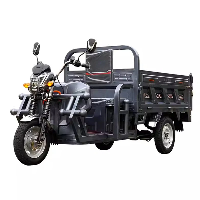 Cheaper Strong Power 3000w Tricycle Electric Three Wheel Cargo Mini Dumper Electric Loader Differiential Motor