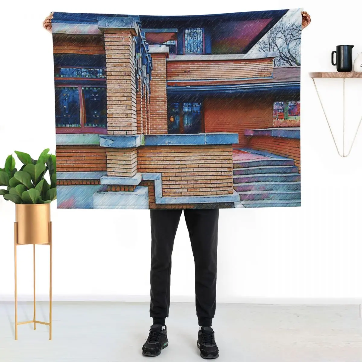 

Meyer May House Sketched Throw Blanket Wrinkle Resistant Lightweight Blanket