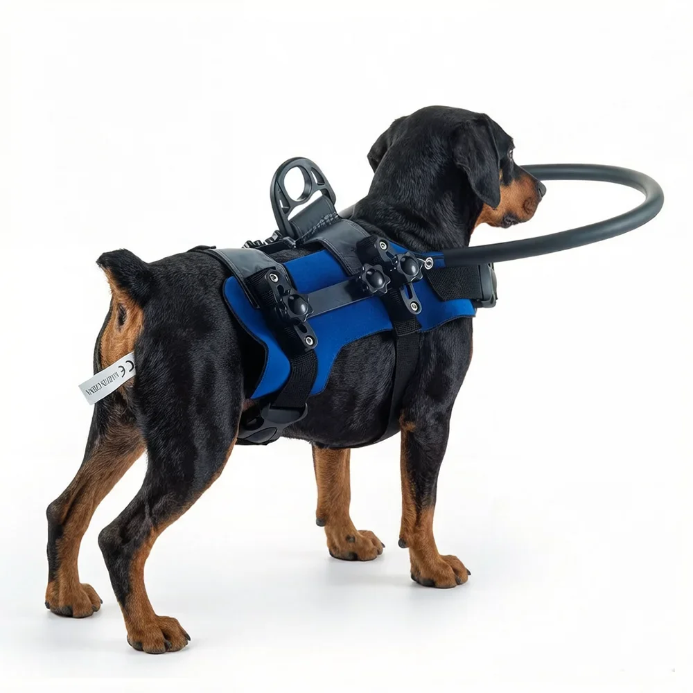 

Blind Dog Harness Guiding Device Pet Safe Lightweight Adjustable Blind Dog Collar Blind dismountable Dog Accessory