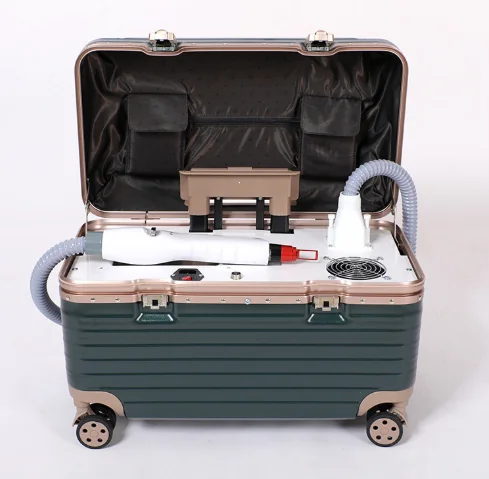 New Multifunctional All-In-One Portable Suitcase Style Cleaning And Skin Beauty Salon Specific Beauty Device