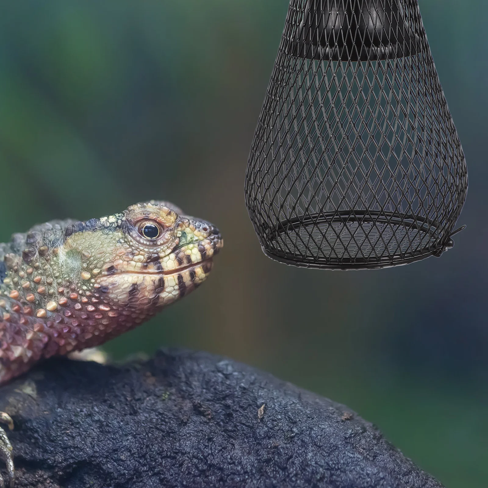 

Reptile Heat Light Cover Iron Mesh Lampshade Eu Plug Wear Resistant Efficient Heat Dissipation Anti Scalding Pet Climbing Box