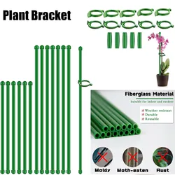 5 szt. Plastikowa roślina podpora regulowana wielokrotnego użytku do ochrony kwiatów narzędzie do mocowania rośliny pnące akcesoria ogrodowe ﻿