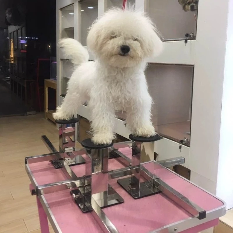 Dog Show Stand Adjustable Dog Posture Training Bracket Professional Pet Grooming Four-Pillar Competition Posture Fixing Holder