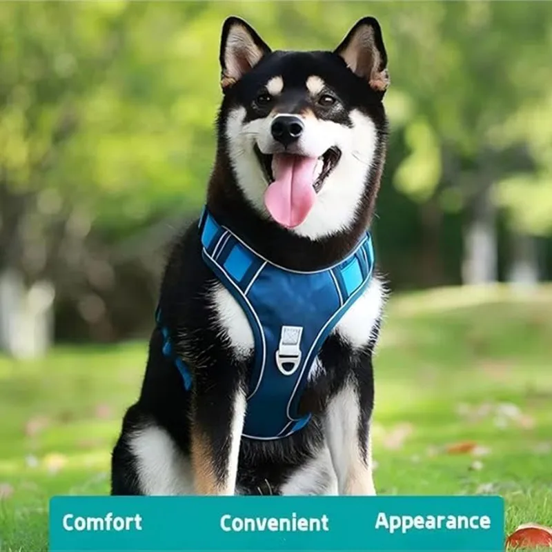 Bequemes Gehgeschirr für Hunde und Katzen mit ausziehbarer Blei, reflektierendem Nachtband, automatische Verriegelung und Schlepperkontrolle – Detail 10