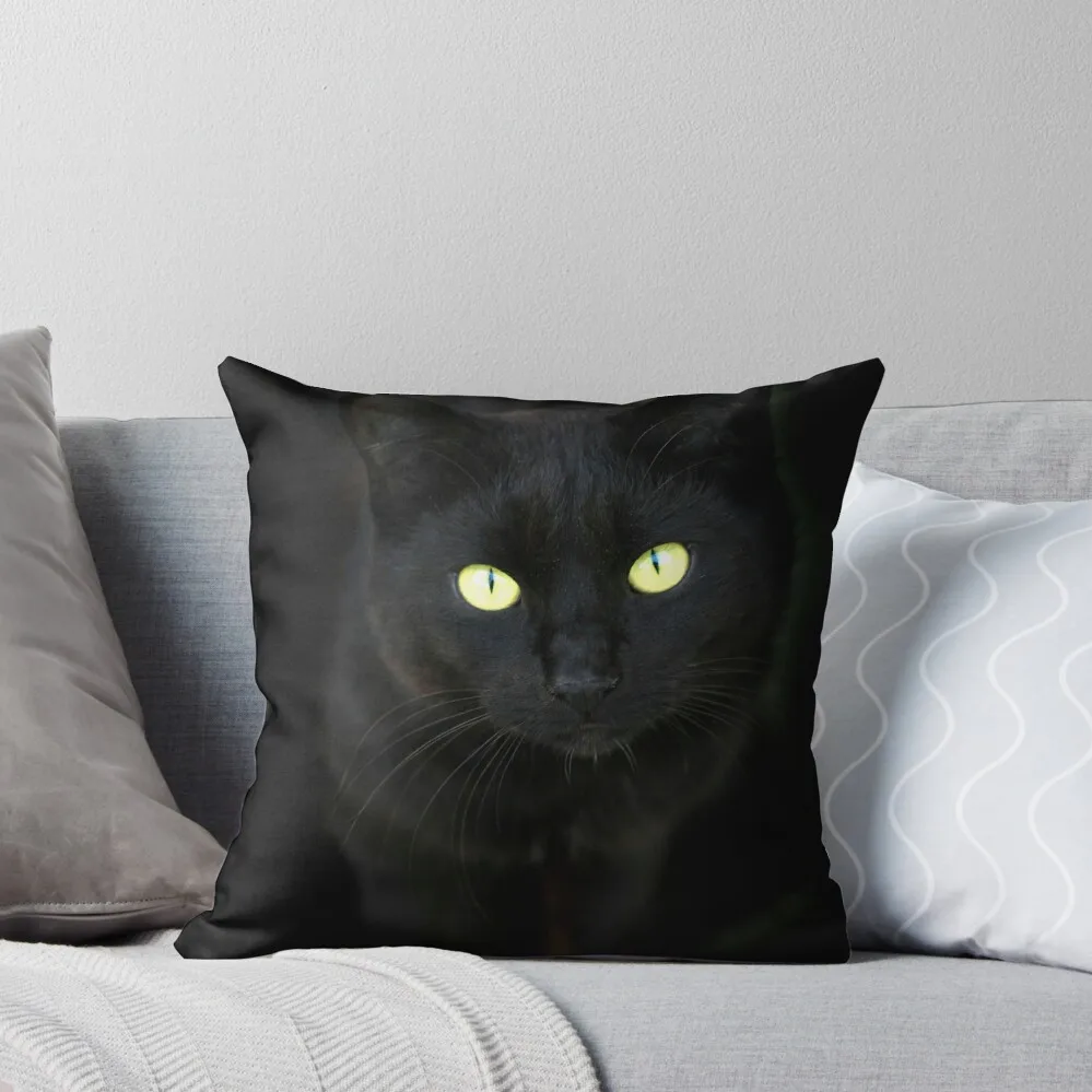 

Portrait of black cat on black background Throw Pillow Decorative Cushion Decorative Cushion Cover Ornamental Pillow pillow