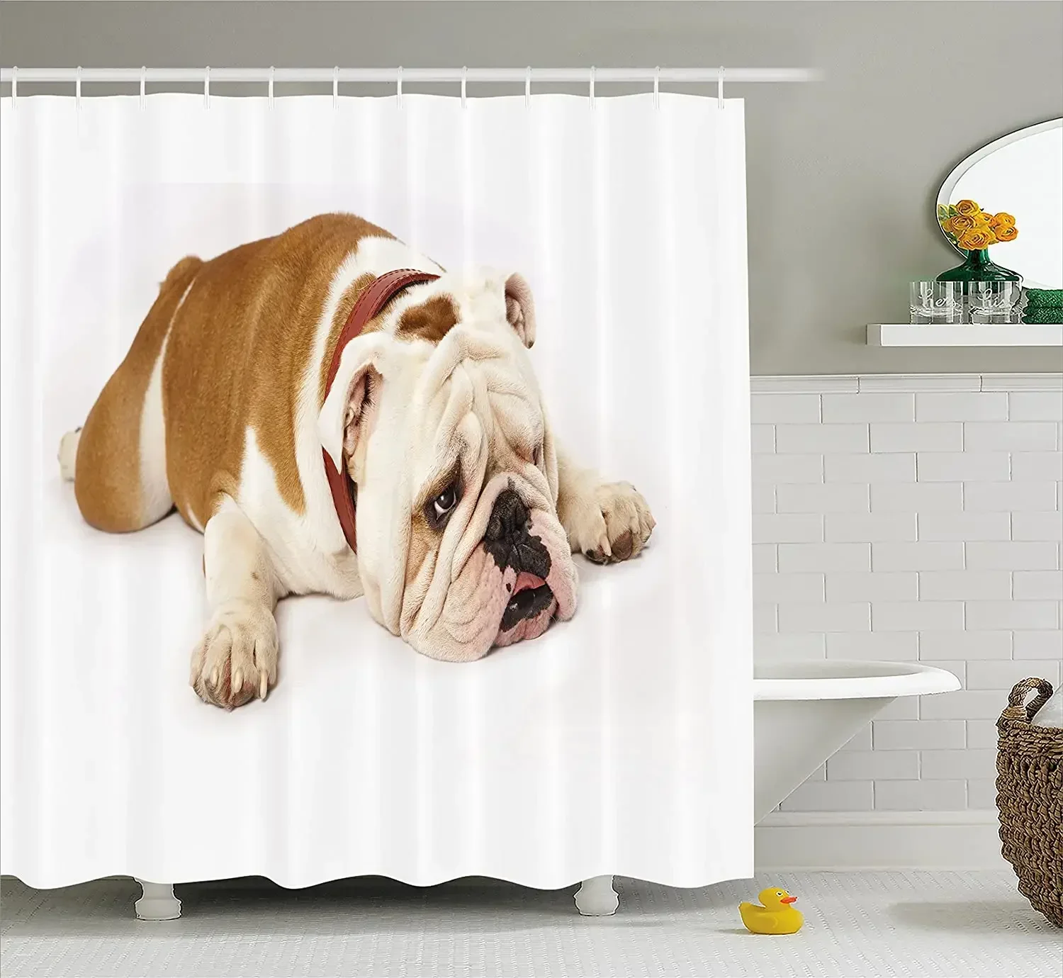 English Bulldog Shower Curtain Sad and Tired Bulldog Laying Down European Pure Breed Animal Photography Bathroom Curtains