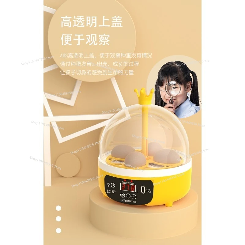 For Experimental Chicken Egg Incubator for Children Automatic Small Incubator Household Rutin Chicken Quail Intelligent Hatching