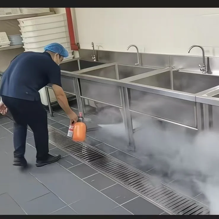 Thermal spray small hand-held insecticide spray insecticide disinfection and insecticide spraying greenhouse