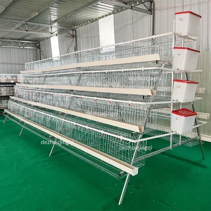 

A Type Laying Hen Cage High Productivity Three Tiers and Four Layers for Up To 160 Chickens Cold Galvanized Chicken Cage