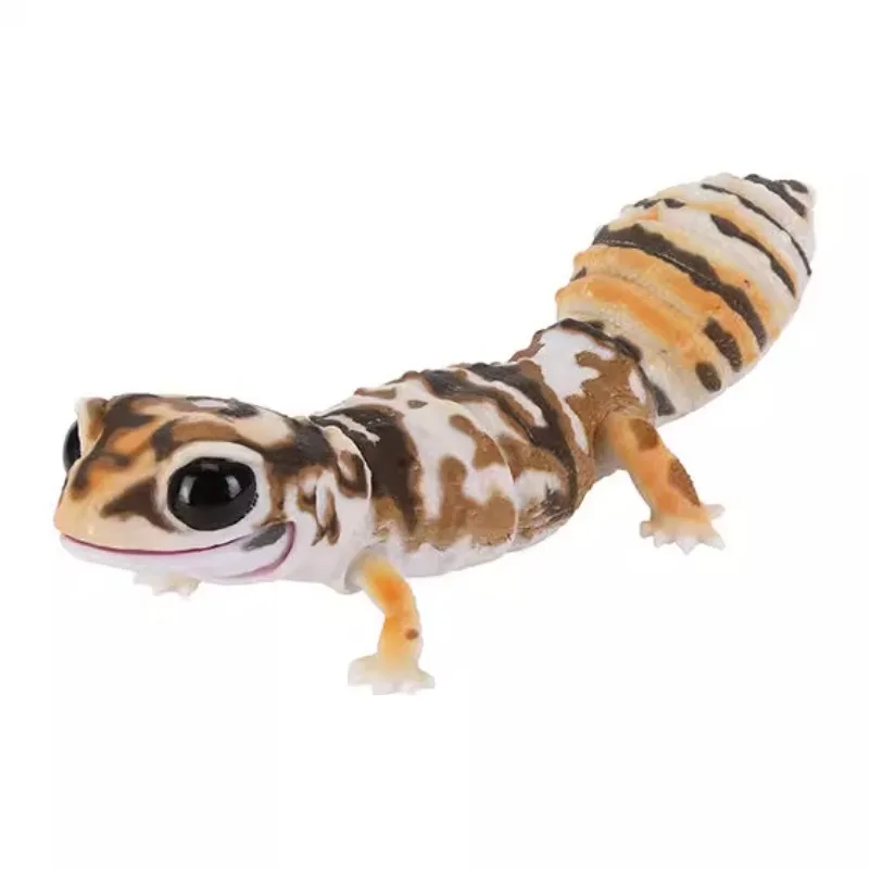 الموسوعة البيولوجية الأصلية من بانداي ألعاب غاشابون سلسلة الزواحف الحيوانات المقلدة نموذج كاليبتراتوس الديكور #4