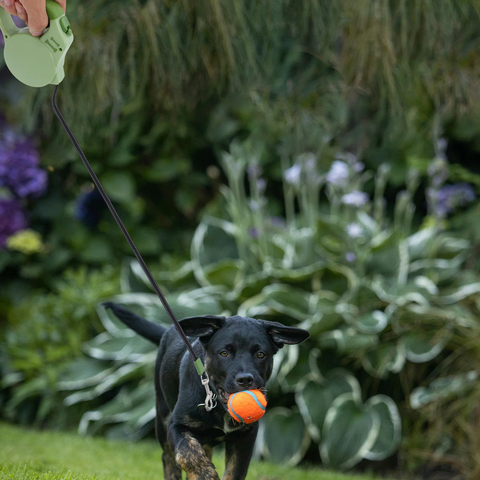 

Retractable Dog Leash 2M 8Mm Heavy Duty ABS Material Automatic Locking for Small Medium Dogs Corgi Walking Running Safety