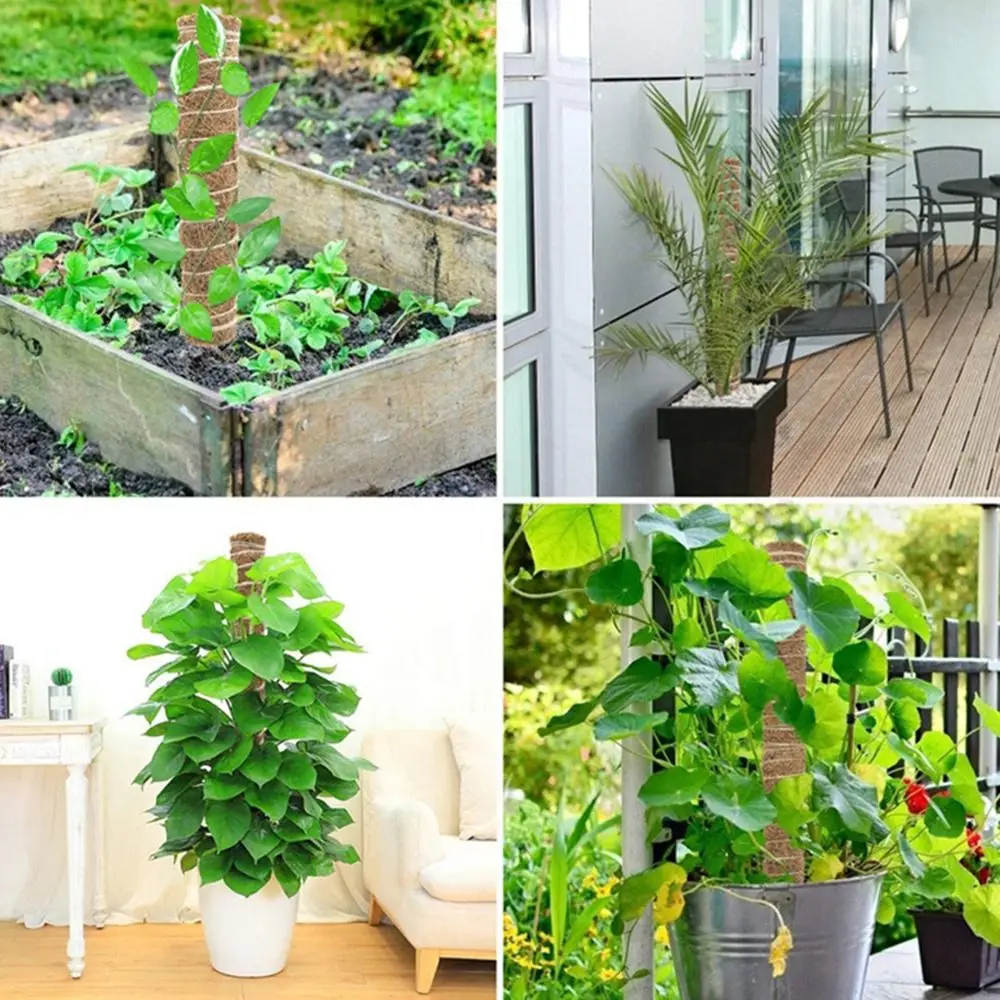 Durable 30/40/50cm Moss Pole Sturdy Grow Upwards Plant Support Stakes Easy To Install Stackable Moss Sticks Home